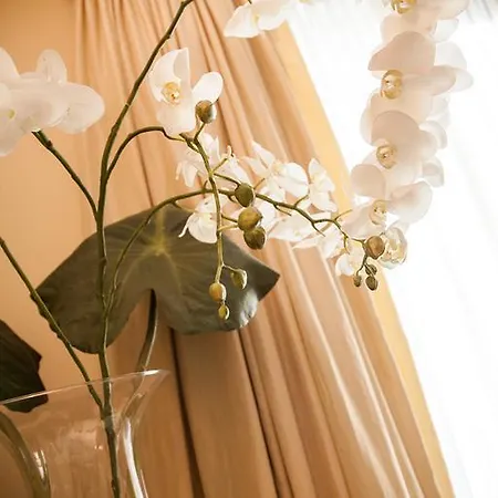 Cosmo Torri Hotel 4*